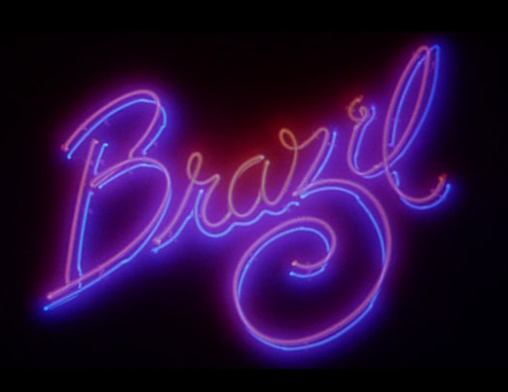 Brazil Handmade Art Neon Signs