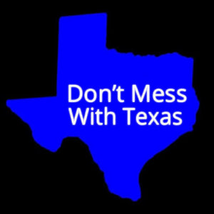 Dont Mess with Texas Blue Handmade Art Neon Sign