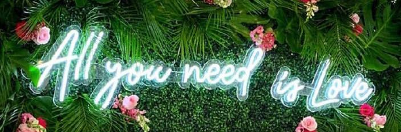 All you need is love Handmade Art Neon Signs