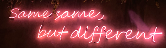 same same but different neon sign