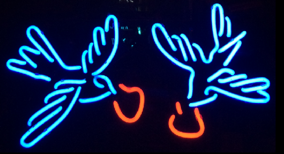 swallows  Neon Signs
