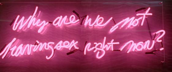 Why Are We Not Having Sex Right Now Neon Sign